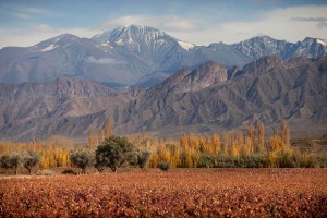 Otoño en Mendoza