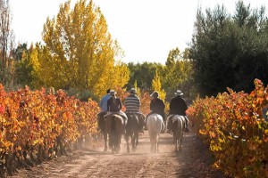 Otoño en Mendoza