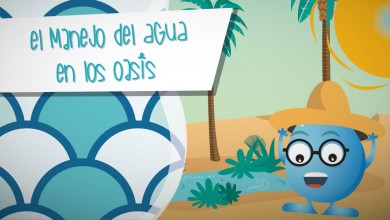 El manejo del agua en los oasis