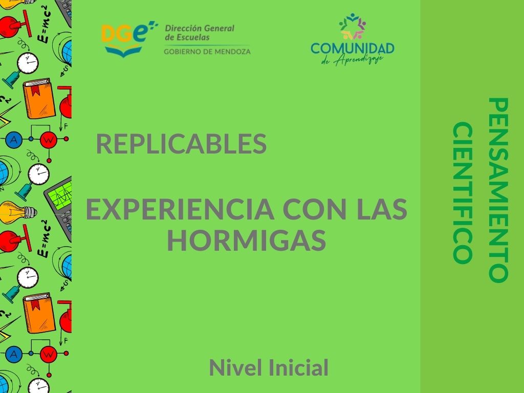 Experiencia con hormigas