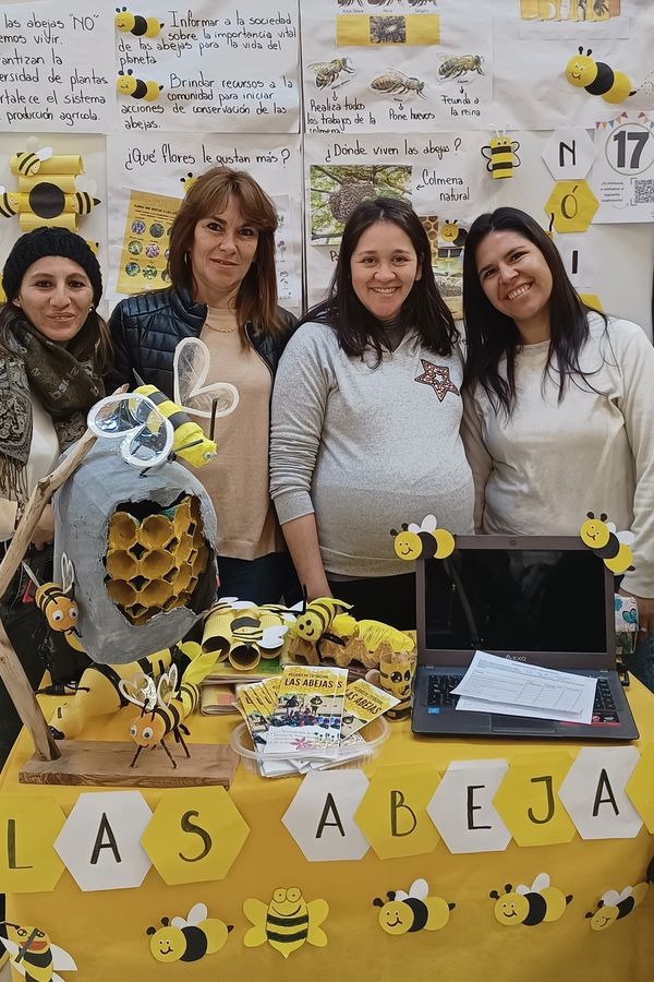 17	Peligro de extinción: Las abejas	25	Sol De Tupungato	INICIAL	Tupungato