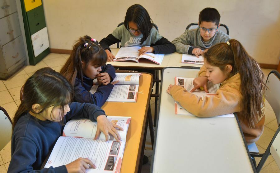Ciclo lectivo 2026: se distribuirán más de 100.000 libros para niños y niñas de Nivel Primario
