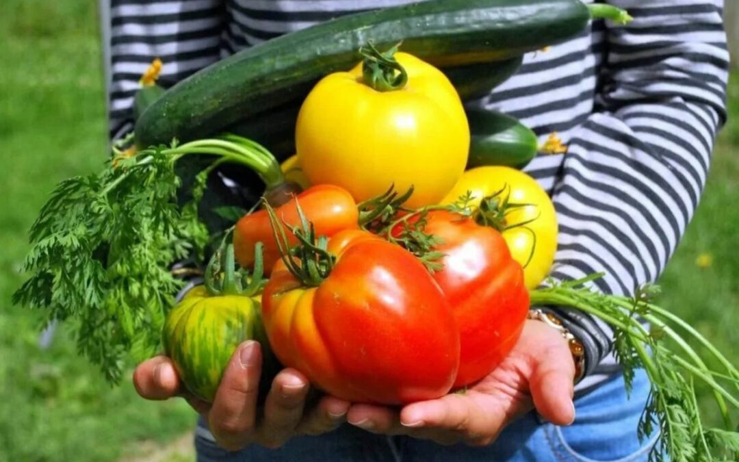 Protegido: 17 de mayo. Día del Horticultor