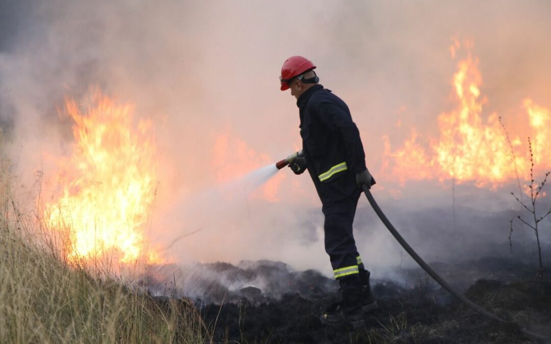 Protegido: 4 de mayo Día Internacional del Combatiente de Incendios Forestales