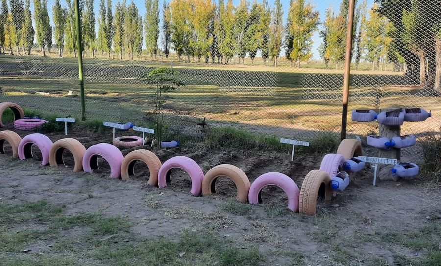El CEBJA Huellas Huarpes trabaja en un proyecto educativo que promueve el desarrollo socioproductivo