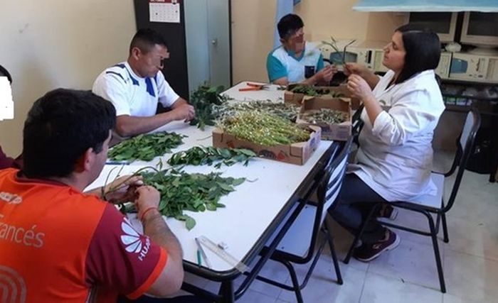 Estudiantes en contexto de encierro del CENS 3-499 participan en proyectos socioeducativos y culturales