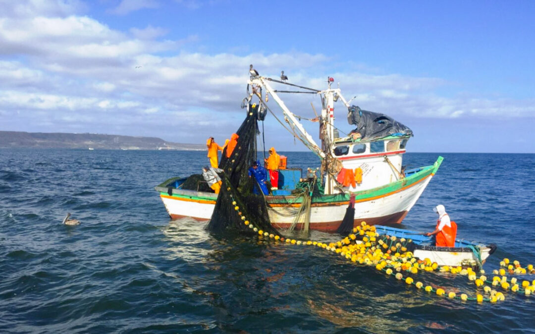 1 de octubre Día del Mar y la Riqueza Pesquera