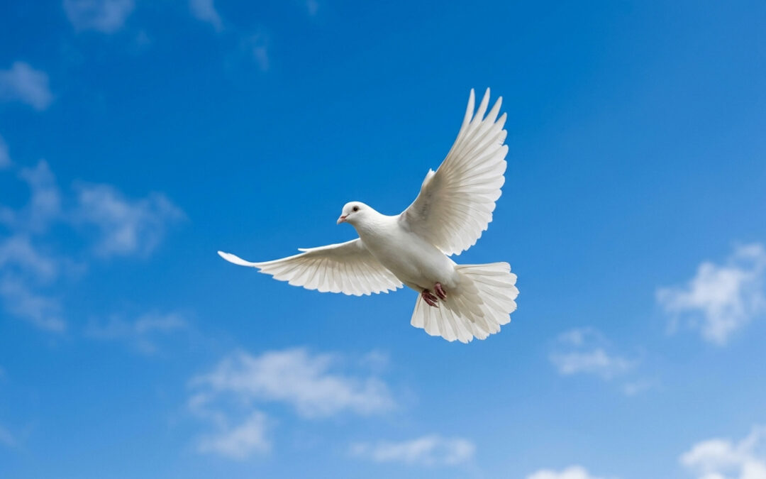 21 de septiembre Día Internacional de la Paz