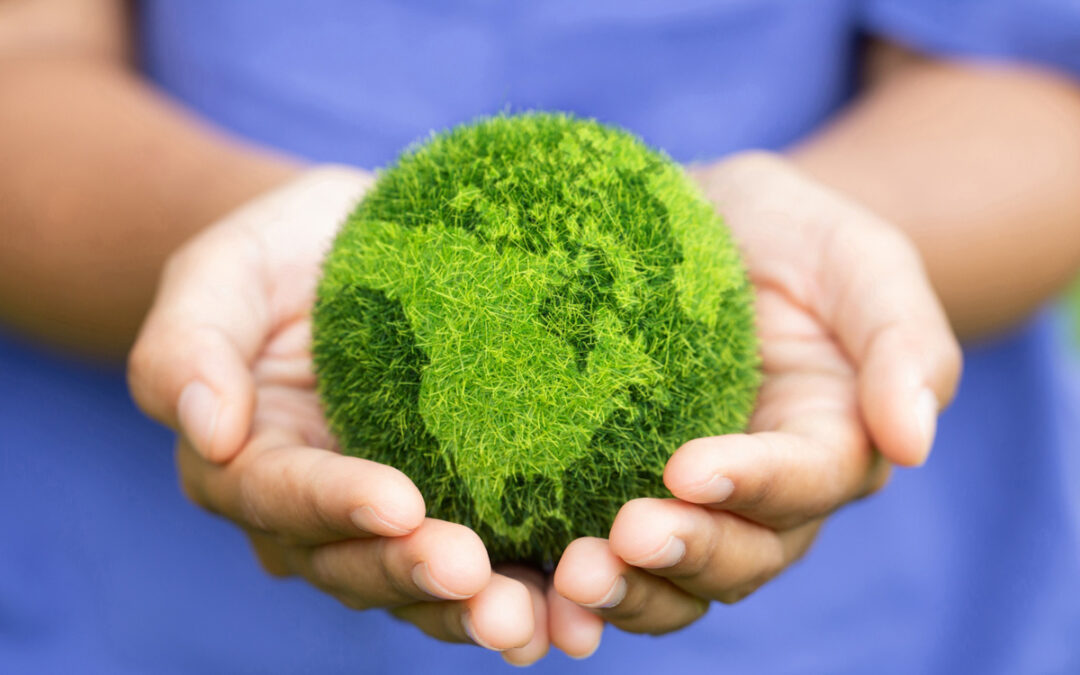 27 de septiembre Día Nacional de la Conciencia Ambiental