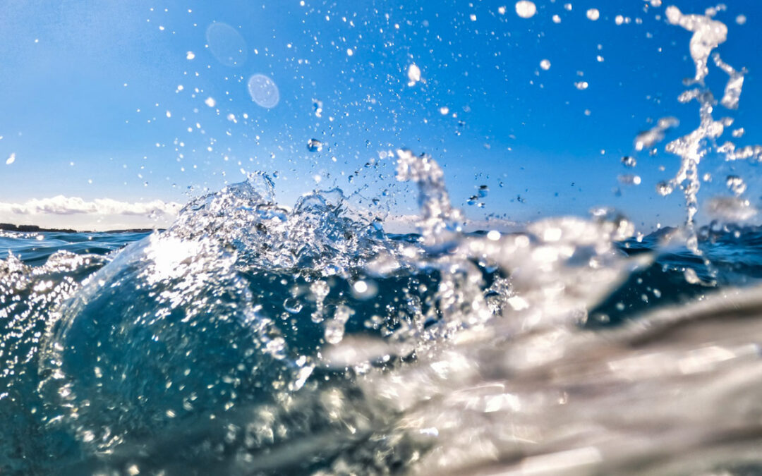1º sábado de octubre Día Interamericano del agua