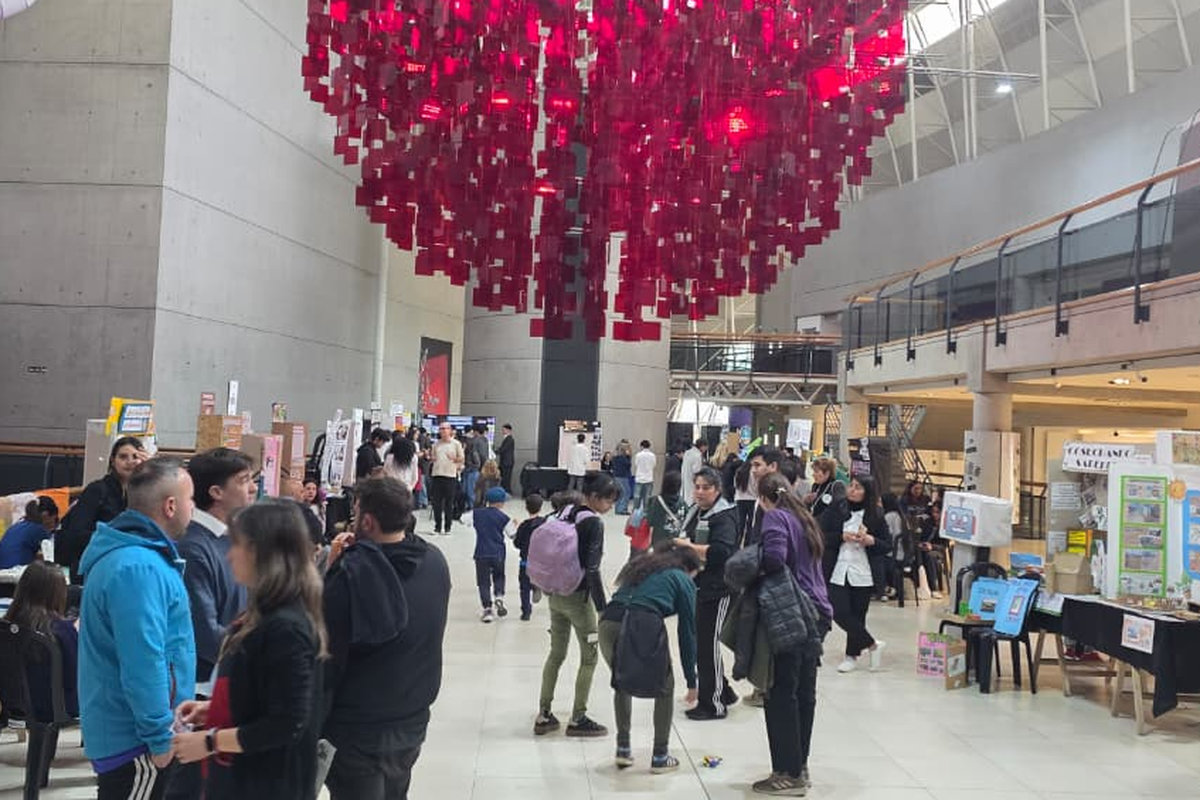 Feria Provincial de Ciencias STEAM - Estudiantes- Profesores - Docentes- Stand- Exposición de Trabajos- Espacio Cultural Julio Le Parc