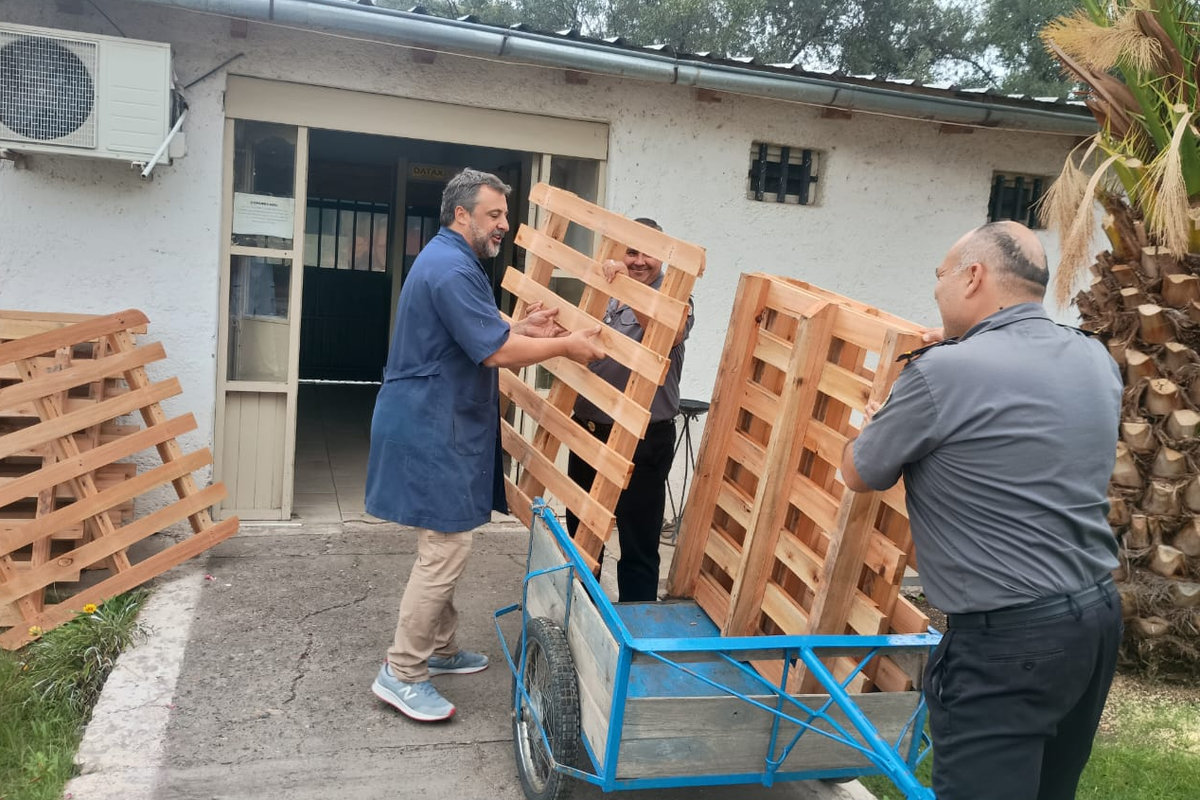 Portal Educativo DGE Gobierno de Mendoza