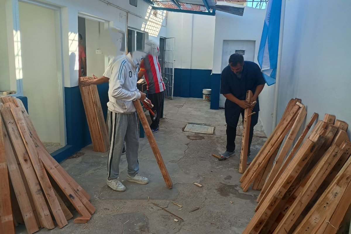 Portal Educativo DGE Gobierno de Mendoza