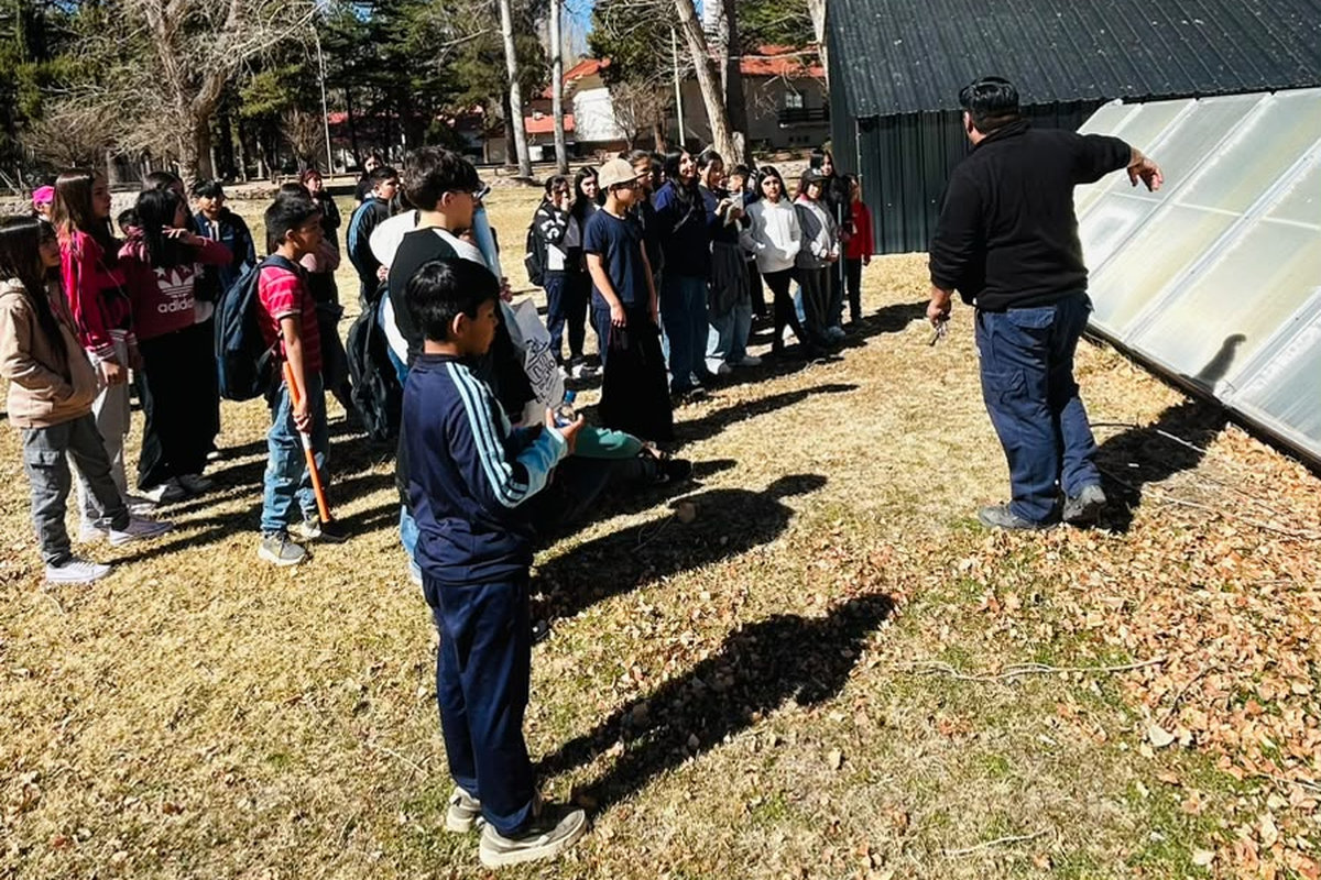 Portal Educativo DGE Gobierno de Mendoza