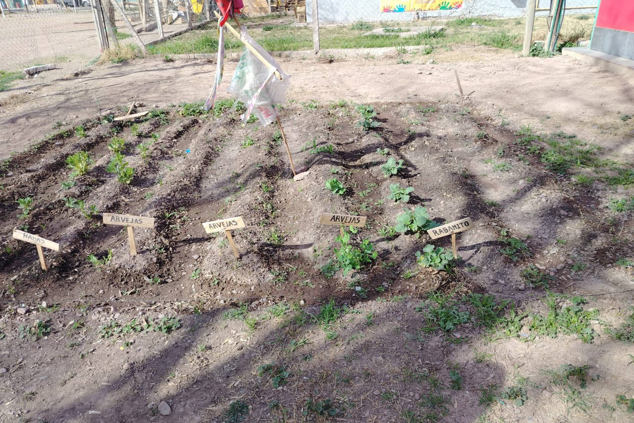 Portal Educativo DGE Gobierno de Mendoza