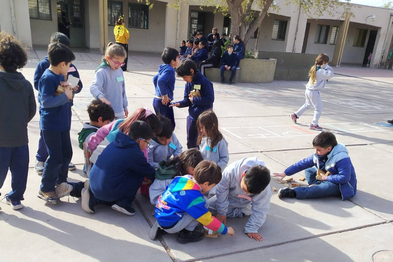 estudiantes-compartiendo-actividades-escolares