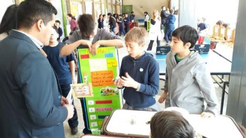 muestra-anual-normal-primaria-2019-03